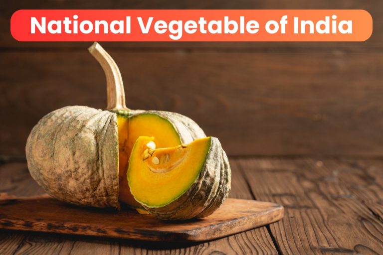 National-Vegetable-of-India-Pumpkin