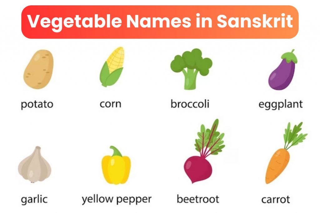 Vegetable-Names-in-Sanskrit
