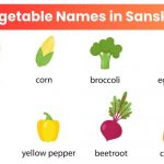 Vegetable-Names-in-Sanskrit